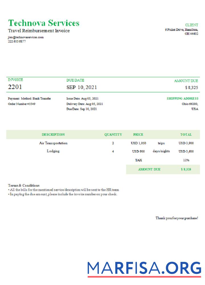 Blank USA Technova Services invoice download for verification